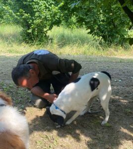 Alba white truffle - truffle hunter with dog - truffe blanche d'Alba - Chasseur de truffes avec son chien