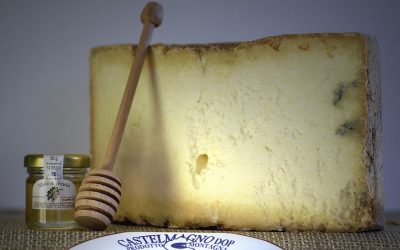 Great Cheeses from Piedmont