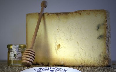 Fromages du Piémont