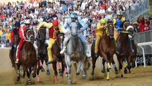 Stadtführung in Asti - Palio Asti - Pferderennen Asti