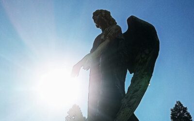 Galleria Fotografica – Cimitero Monumentale Torino