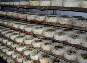 Plaisentif Cheeses from Piedmont - Piedmont cheeses