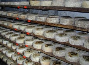 Plaisentif Cheeses from Piedmont - Piedmont cheeses - Fromages du Piémont
